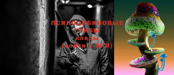 2c-b Дмитровск