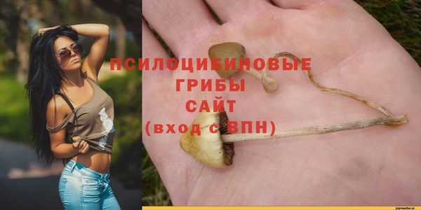 прущие крисы Дмитров