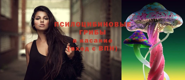 гидра Алексин