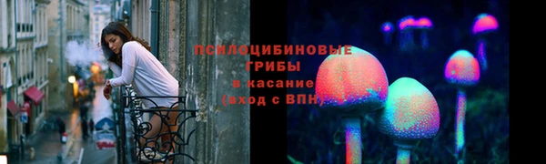 прущие крисы Алзамай