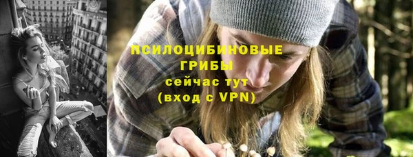 прущие крисы Алзамай