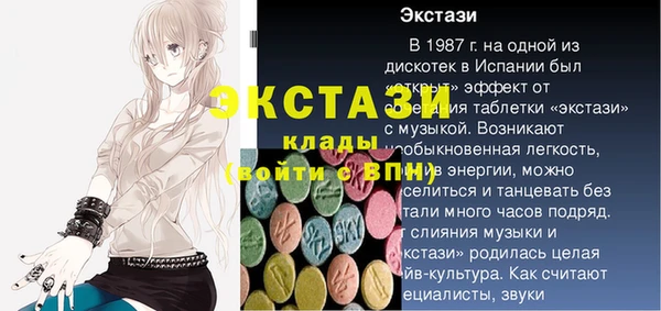 индика Дмитриев