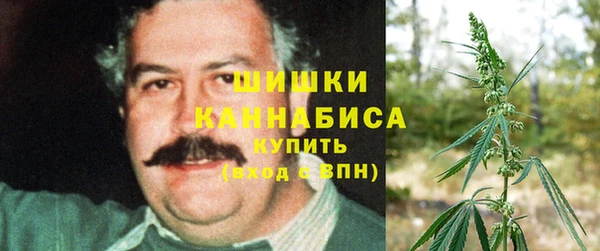 гидра Алексин