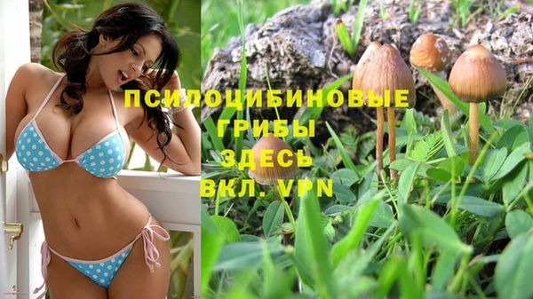 мескалин Алексеевка